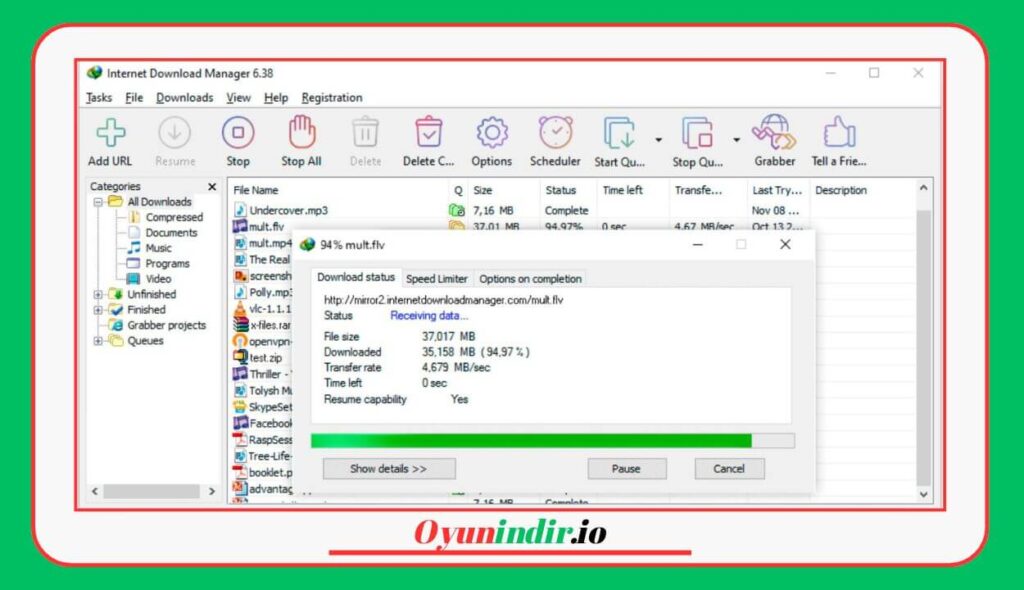 Internet Download Manager 6.43 Build 8 İndir – Full Türkçe