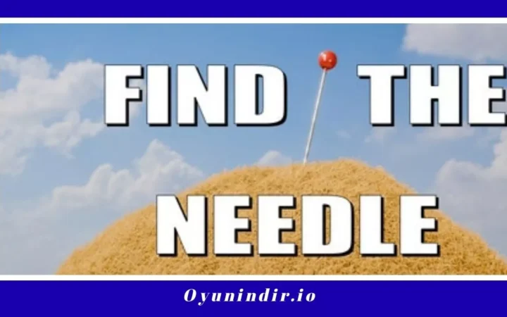 Find The Needle İndir Full PC