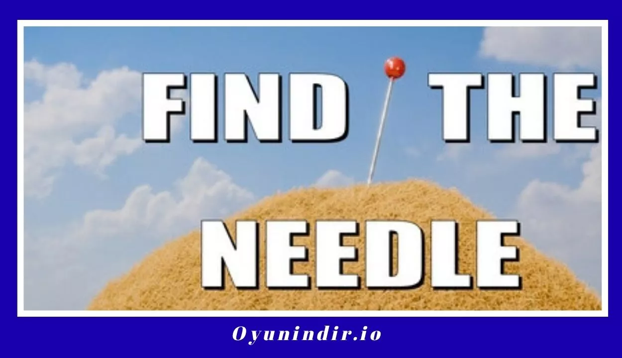 Find The Needle İndir Full PC